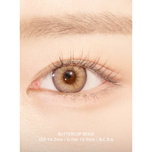  Ann365 1month – Butter Cup Beige椿日啡 月拋 2片裝